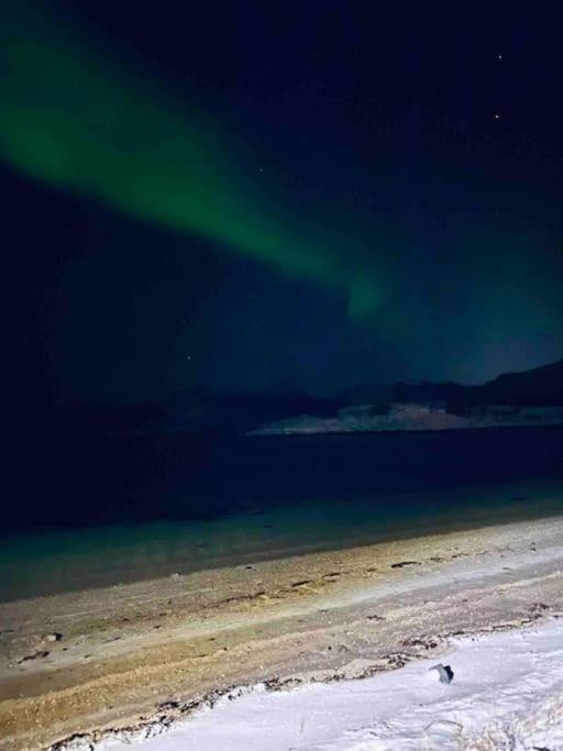 Holiday Home With Sauna In The Arctic Caribbean, Tromso Exterior photo